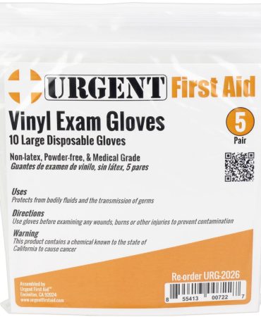 Disposable Gloves, Large, 5 Pair Per Bag