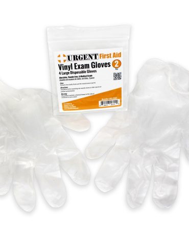 Disposable Gloves, Large, 2 Pair Per Bag